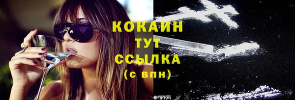 гидра Кукмор