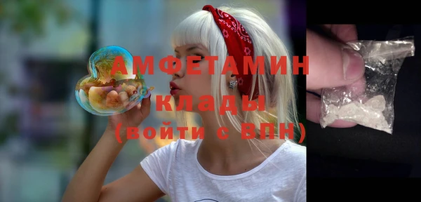 гидра Кукмор