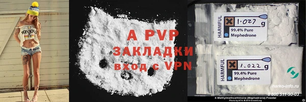 стаф Кулебаки